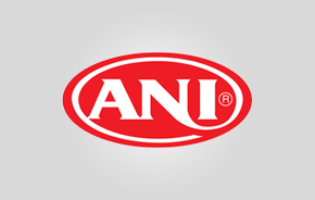ani-plastik